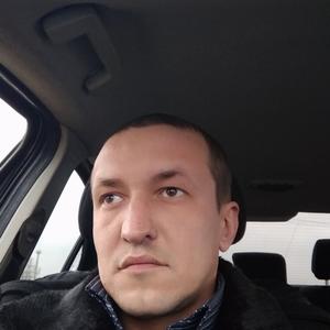Владимир, 38 лет, Кочубеевское