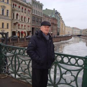 Носков Михаил, 73 года, Кемерово