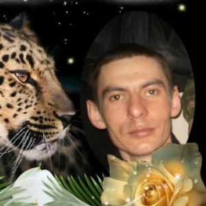 Серёга, 39 лет, Ряжск