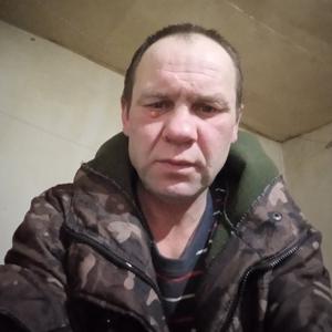 Николай, 41 год, Ставрополь