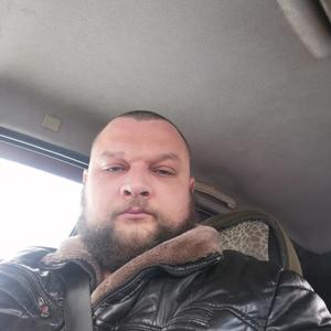 Алексей, 38 лет, Волхов