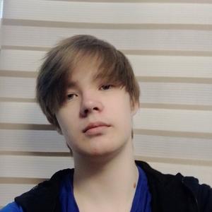 Никита, 19 лет, Подольск