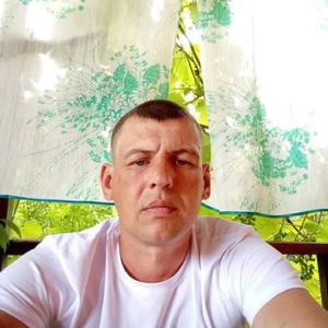 Парни в Орше (Беларусь): Алексей, 37 - ищет девушку из Орши (Беларусь)