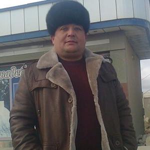 Ахмад Тош, 43 года, Москва