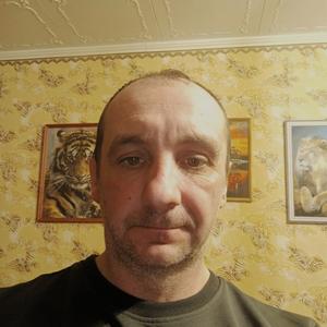 Сергей, 44 года, Орел