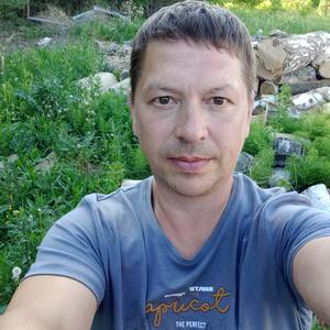 Дмитрий, 47 лет, Новоуральск