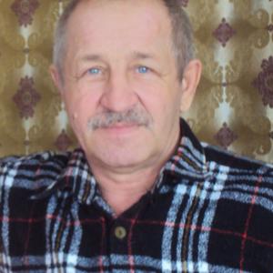 Владимир, 71 год, Набережное