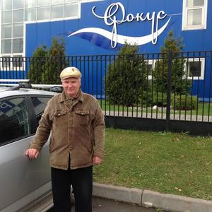 Владимир, 74 года, Саранск