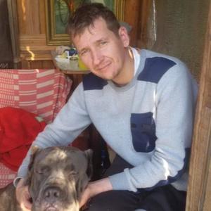 Парни в Химках: Дмитрий Шувалов, 39 - ищет девушку из Химок