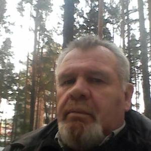 Владимир Токарев, 63 года, Новосибирск