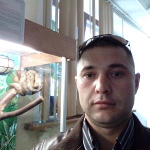 Mikhail Volokushin, 40 лет, Ярославль