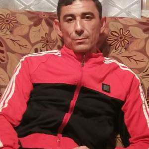 Сергей Жаркевич, 45 лет, Нижний Новгород