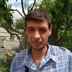 Парни в Гулькевичах: Дмитрий, 43 - ищет девушку из Гулькевич