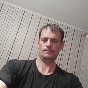 Дмитрий, 43 года, Октябрьский