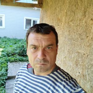 Владимир, 43 года, Тишково