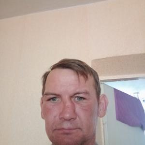 Сергей, 49 лет, Лесозаводск