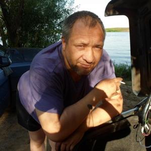 Nikolai Nikolaev, 50 лет, Рязань