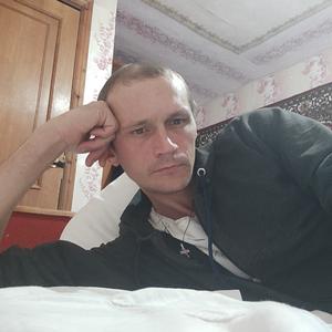Сергей, 37 лет, Витебск
