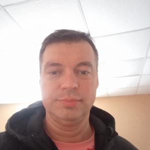 Александр, 43 года, Нижний Новгород