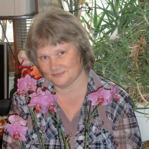 Елена, 61 год, Лосино-Петровский