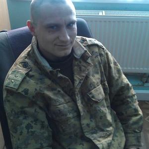 Сергей Шикунец, 36 лет, Калининград