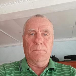 Владимир, 66 лет, Толбазы