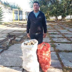 Айбек, 36 лет, Ташкент