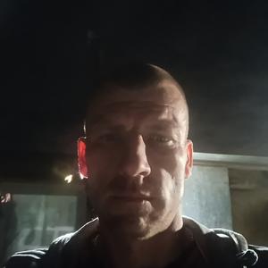 Михаил, 43 года, Воронеж