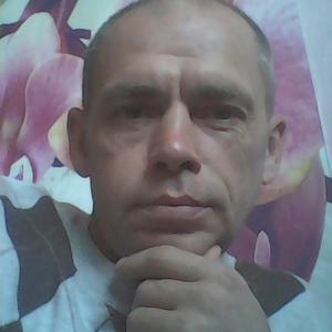 Андрей, 53 года, Светлый