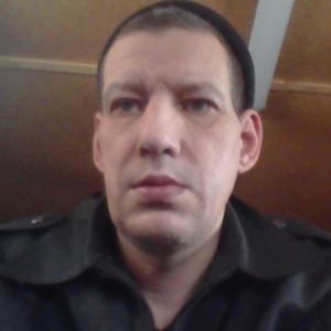 Евгений, 46 лет, Камешково