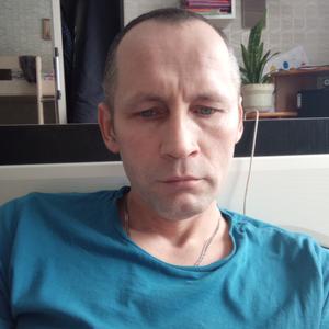 Николай, 43 года, Гомель