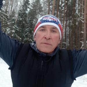 Владимир, 50 лет, Тула