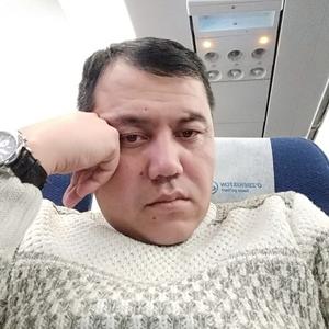 Ulugbek, 42 года, Ташкент