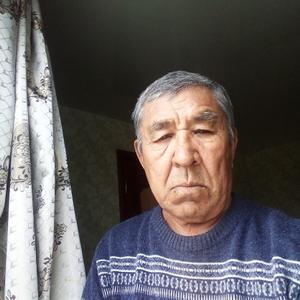 Гизитдин, 74 года, Москва