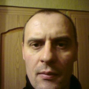 Игорь, 45 лет, Тула