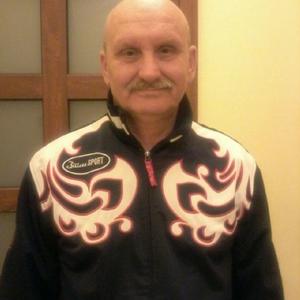 Сергей, 65 лет, Покров