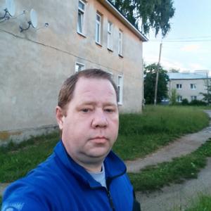Дмитрий Кузнецов, 46 лет, Нерехта
