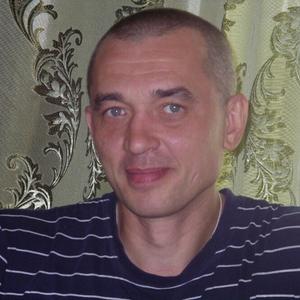 Роман Власов, 47 лет, Струнино
