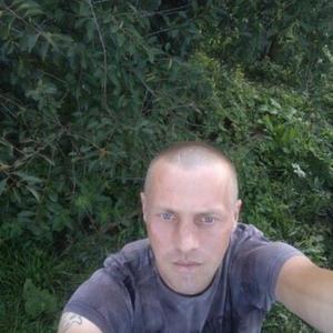Олег, 32 года, Чайковский