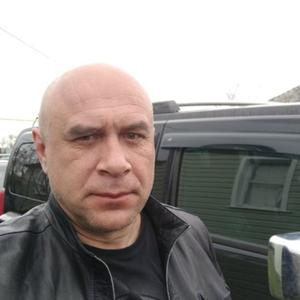 Евгений, 50 лет, Краснодар