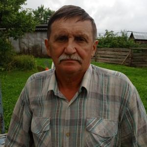 Николай, 67 лет, Сокол