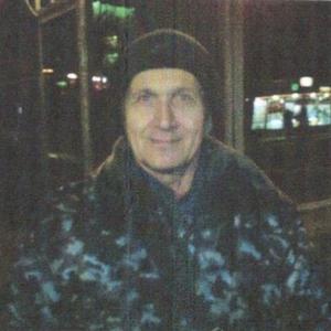 Парни в Екатеринбурге: Владимир, 71 - ищет девушку из Екатеринбурга