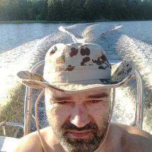 Дмитрий Потапов, 42 года, Лахденпохья