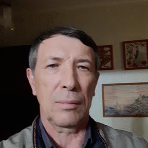 Александр, 64 года, Краснодар