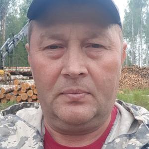 Игорь Дегтянников, 49 лет, Пермь