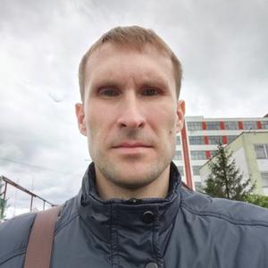 Алексей, 37 лет, Искитим