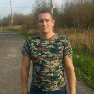 Сергей, 43 года, Тоншалово