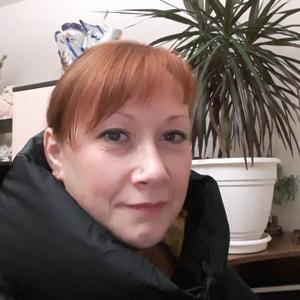 Людмила, 44 года, Новотроицк