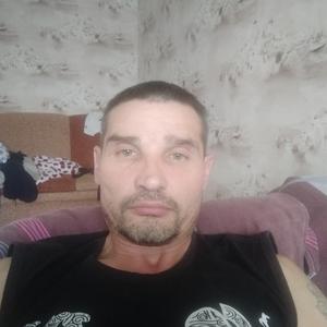 Александр, 45 лет, Череповец