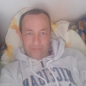 Сергей Ерегин, 44 года, Вологда